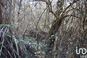 Terreno  em Freixianda, Ribeira do Fárrio e Formigais