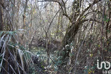 Terreno em Freixianda, Ribeira do Fárrio e Formigais
