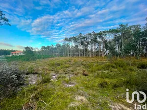 Terreno urbano  em Monte Redondo e Carreira