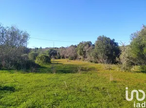 Campground  at Barão de São Miguel