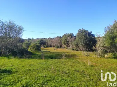 Camping à Barão de São Miguel