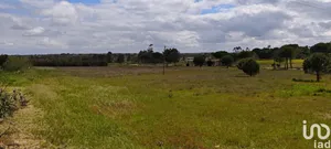 Terreno urbano  em Branca