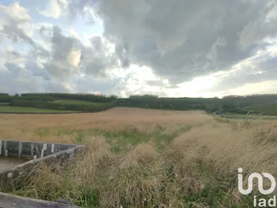 Farm land  at Agualva