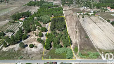 Terreno urbano  em Benavente