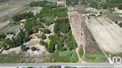 Fotografia 4 de Terreno de 4990 m² em Benavente