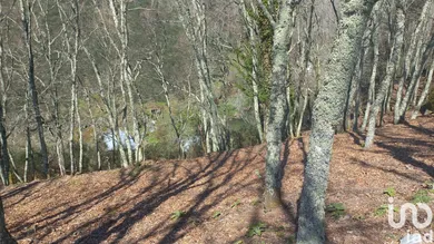 Land  in Campelo e Ovil