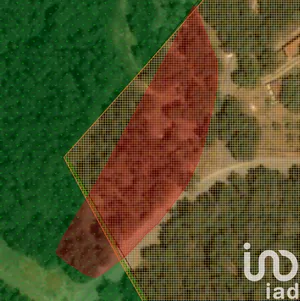 Terrain à Aljubarrota