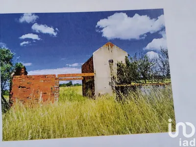 Fotografia 3 de Terreno de 22 000 m² em Alpiarça