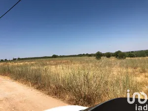 Terreno rústico  em Moura (Santo Agostinho e São João Baptista) e Santo Amador