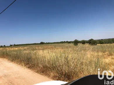 Farm land  in Moura (Santo Agostinho e São João Baptista) e Santo Amador