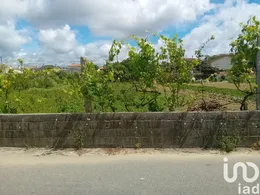 Terreno  em Pinheiro da Bemposta, Travanca e Palmaz