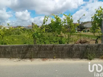 Terreno  em Pinheiro da Bemposta, Travanca e Palmaz