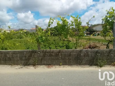 Fotografia 3 de Terreno de 2140 m² em Pinheiro da Bemposta, Travanca e Palmaz