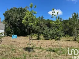 Land in Monte Real e Carvide