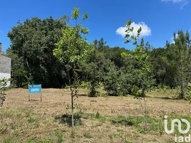 Land  in Monte Real e Carvide