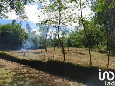 Fotografia 9 de Terreno rústico de 1280 m² em Vilar de Mouros