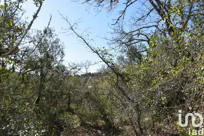 Fotografia 3 de Terreno de 800 m² em Chãos