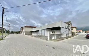 Loja / Estabelecimento Comercial em Campo de Besteiros