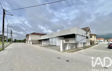 Loja / Estabelecimento Comercial em Campo de Besteiros