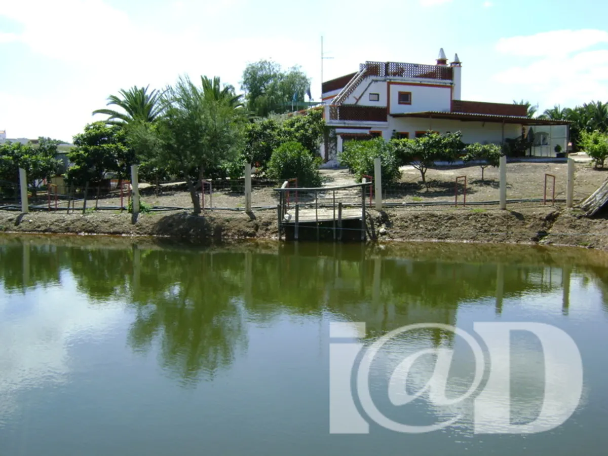 Terreno rústico de 41 500 m² em Cabeça Gorda