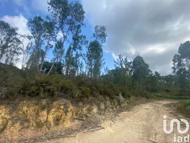 Building plot at Sopo