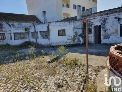 Fotografia 3 de Terreno de 2432 m² em Montijo e Afonsoeiro