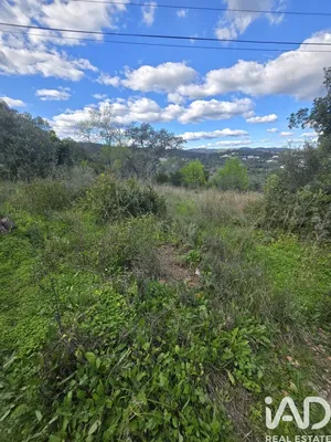 Terrain  à São Brás de Alportel