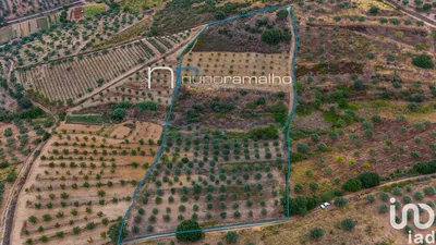 Fotografia 1 de Terreno de 11 872 m² em Poço do Canto