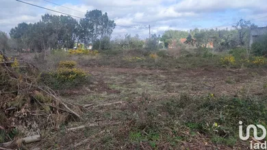 Terreno urbano  em Guia, Ilha e Mata Mourisca