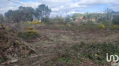 Fotografia 3 de Terreno urbano de 5930 m² em Guia, Ilha e Mata Mourisca