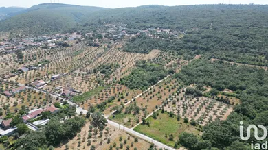 Terreno urbano  em Chão de Couce