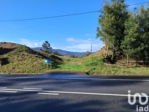 Terreno  em Reboreda e Nogueira