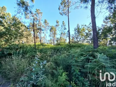 Farm land  in Campo E Tamel (São Pedro Fins)