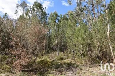 Terreno  em Rio de Couros e Casal dos Bernardos