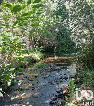 Casa em Pedrógão Grande