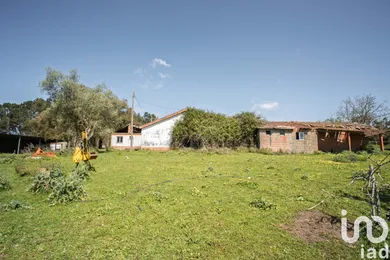 Terreno em Souto da Carpalhosa e Ortigosa