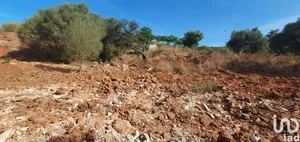 Terreno em São Bartolomeu de Messines