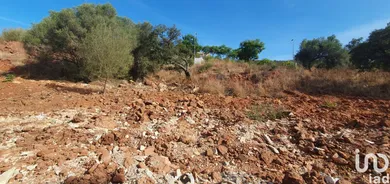 Terreno em São Bartolomeu de Messines