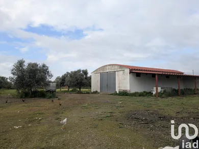 Terreno  em Cano