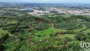 Terreno em Quinta do Anjo