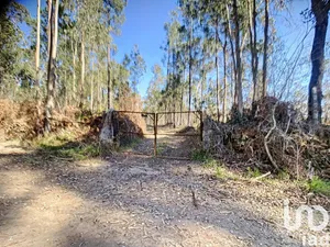 Land  at Santa Maria da Feira, Travanca, Sanfins e Espargo