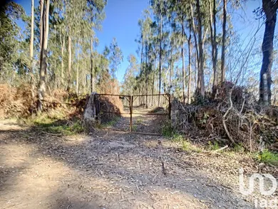 Land at Santa Maria da Feira, Travanca, Sanfins e Espargo