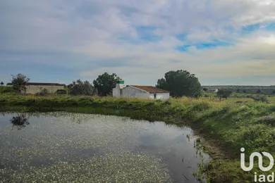 Quinta  em Assunção