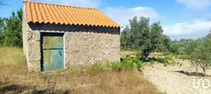 Terreno em Carrapichana