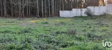 Building plot  in Galegos (Santa Maria)