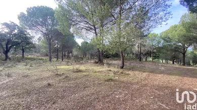 Terrain  à Galveias