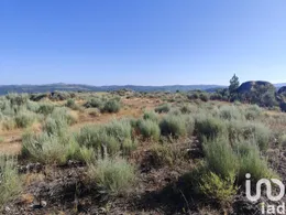 Terreno em Sernancelhe e Sarzeda