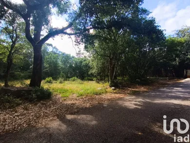 Terreno em Aljubarrota