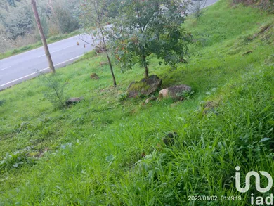 Terreno  em Canas de Senhorim
