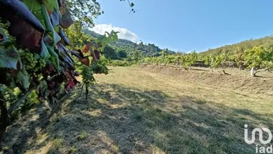 Farm land in Sabadim